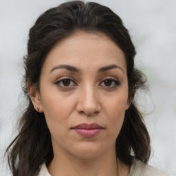 Sara K.